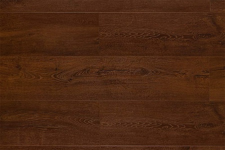 Chene de Picardie BF10-3006-FR