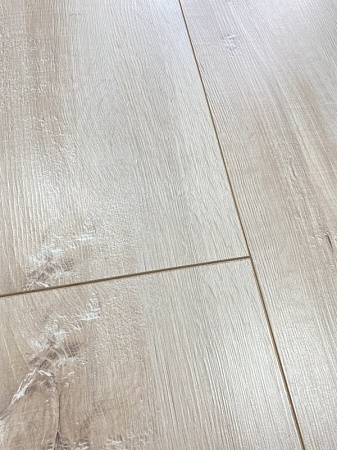 Дуб Валония