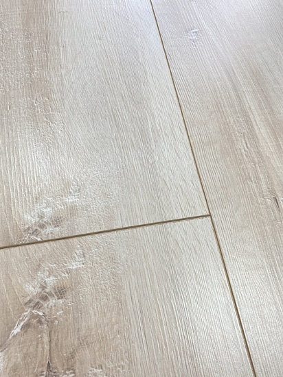 Дуб Валония