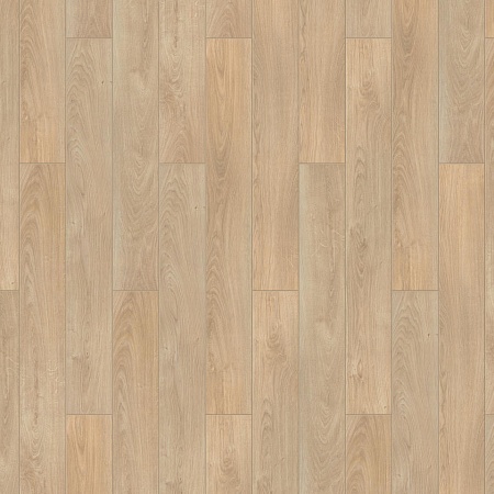 Энигма 504445007