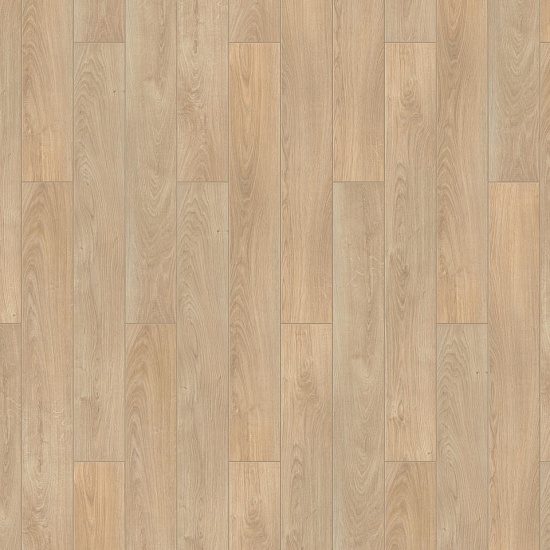 Энигма 504445007