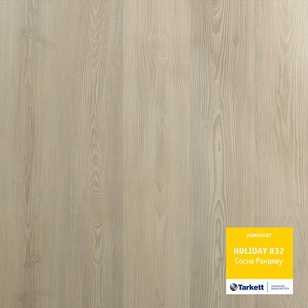 Сосна рандеву 
504022053