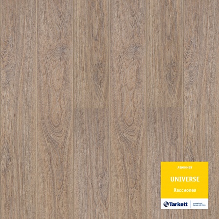 Кассиопея 504421000