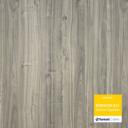 Каштан японский 504035067