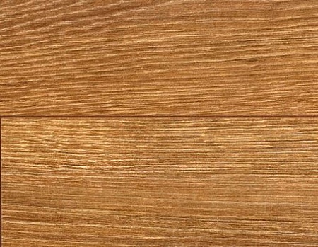 Дуб Аполлон D 3746