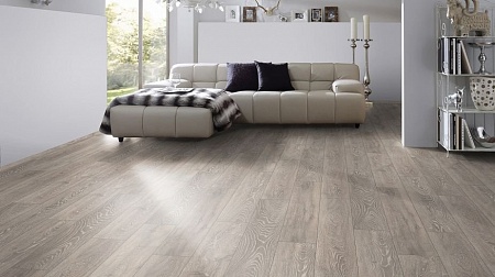 Дуб Болдер 5542