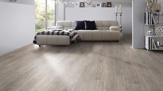 Дуб Болдер 5542