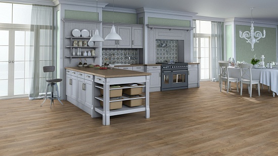 Дуб Благородный Светлый 504044115