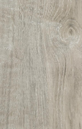 Дуб Сардиния S619