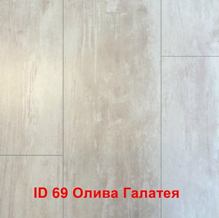 Олива Галатея ID69