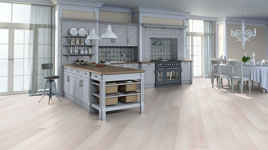 Дуб Кристмас 504022054