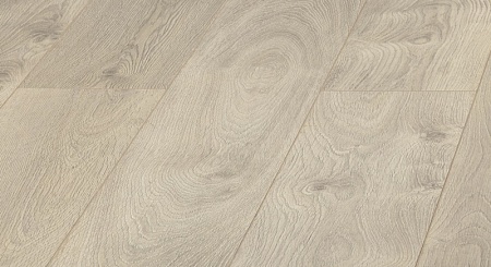 D 3034 Дуб Феррара