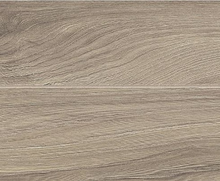 Дуб Нептун D 3711