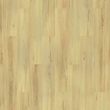 Бонифацио 504022076