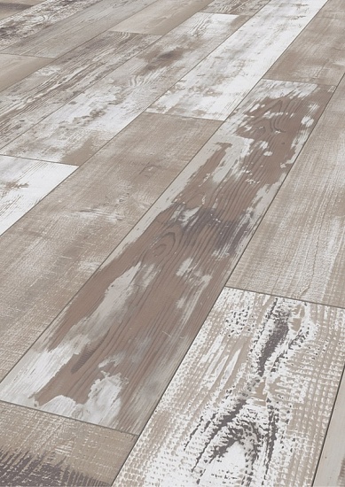 Сосна Шэк K229