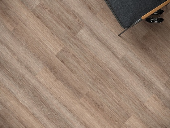 NOX-1976 Дуб Сен-Дени