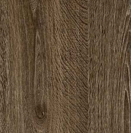 Дуб Мемория 2994