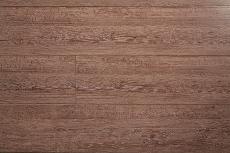 Дуб апполон ID 62