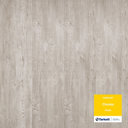 Лорен 504108037