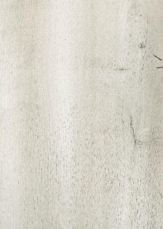 Дуб светлый 504466005