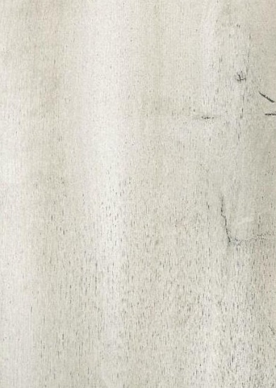 Дуб светлый 504466005