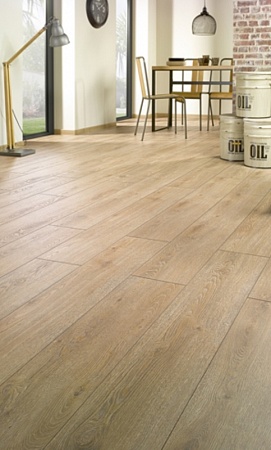 SC 535 Дуб Пролин