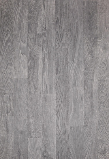 Дуб Серебряный 08532