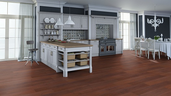 Дуб Кастано 504016052