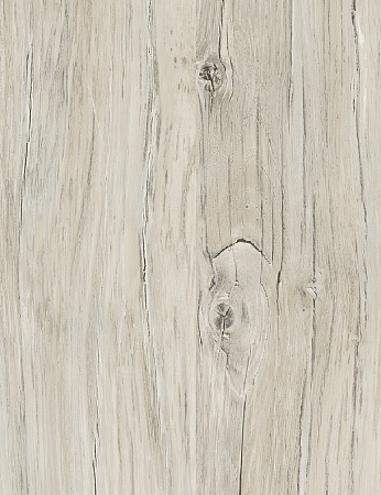 Дуб Кадьяк FP853