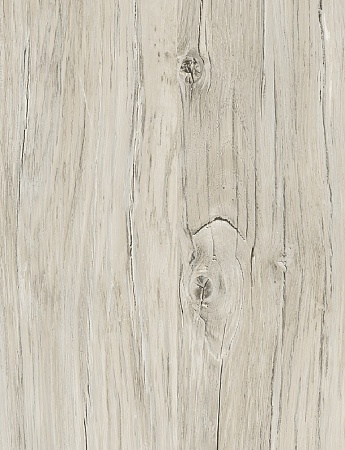 Дуб Кадьяк FP853