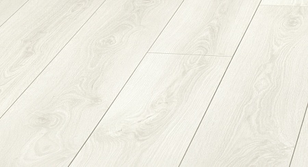 Дуб Нике D 3305