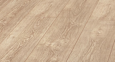 D 3747 Дуб Пандора