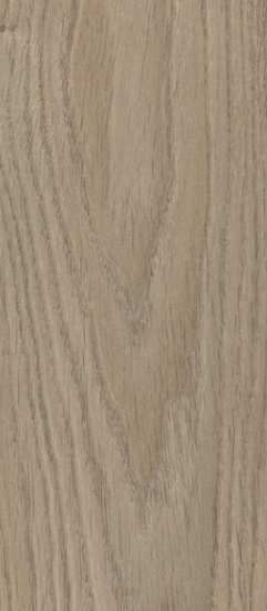 Дуб Восточный 8221