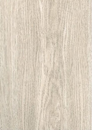 Дуб светлый 50446403