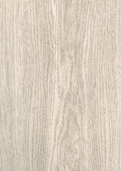 Дуб светлый 50446403