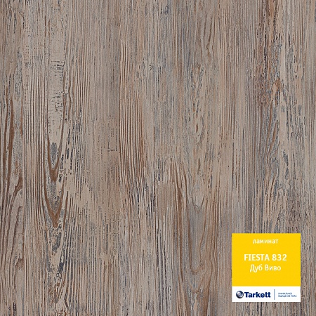 Дуб Виво 504016056