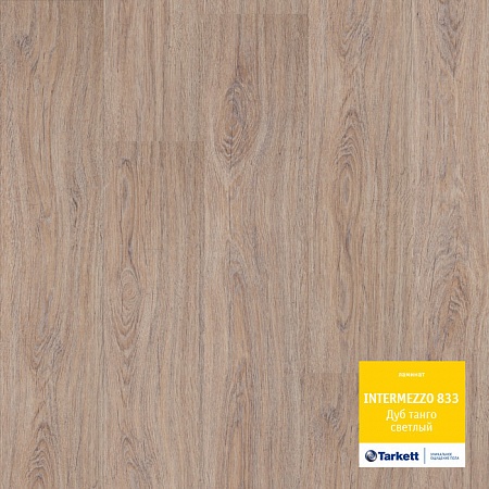 Дуб ТАНГО светлый 504023051