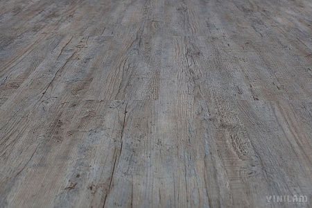 Дуб Льеж 10-015