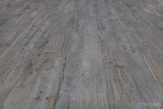 Дуб Льеж 10-015