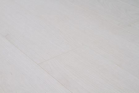 Дуб Малевич FP556