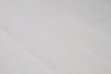 Дуб Малевич FP556