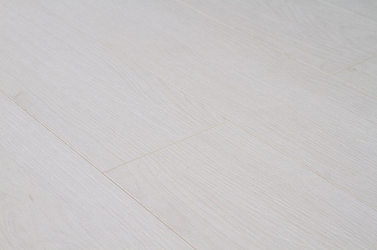 Дуб Малевич FP556