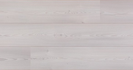 Сосна серебряная 4211