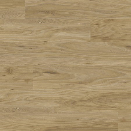 Вяз Ландхаус О102 LM-S