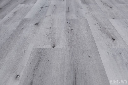 Дуб Гент 10-064