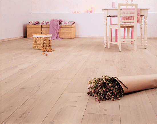 Сосна белая 05201