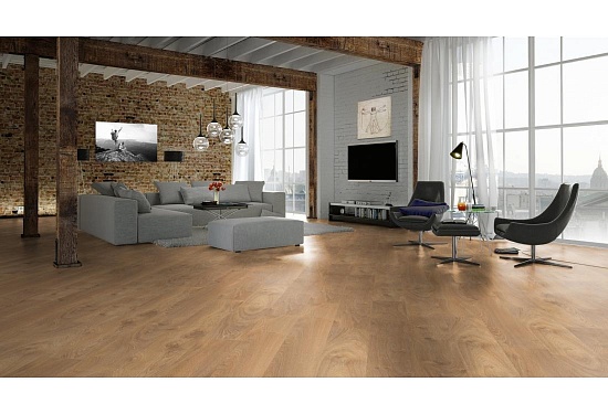 Дуб Ливорно D 3033