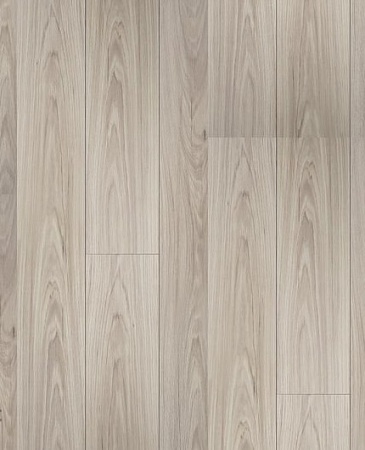 Дуб Романс D 4848