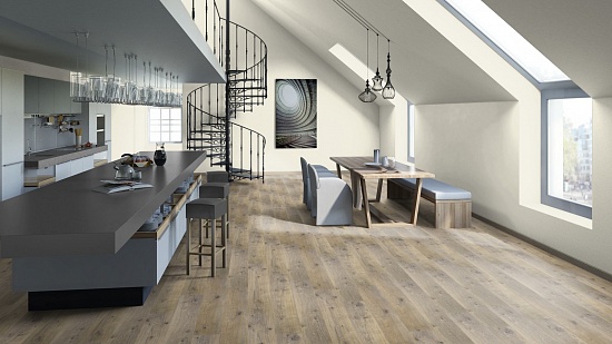 Дуб Фрайдэй 504022046