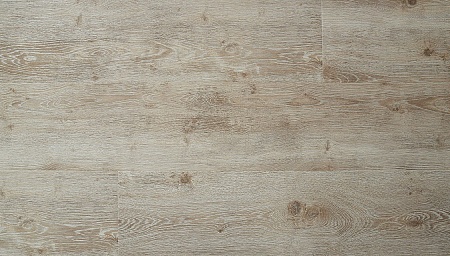 Дуб Манифик 12156